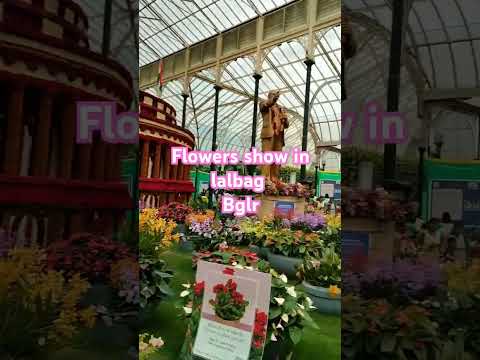 Bangalore's laglabagh flower show
