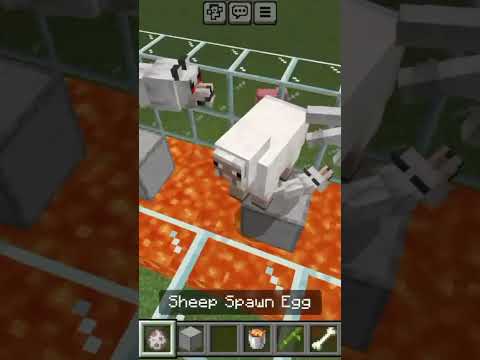 Wolf in the lava #minecraft #shorts #gaming #wolf