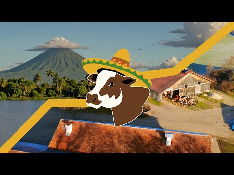 Käserei Südamerika - Käse nach Südamerikanischer Tradition