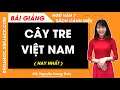 Cây tre việt nam Ngữ văn lớp 7 Cánh diều