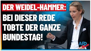 Der Weidel-Hammer: Bei dieser Rede tobte der Bundestag! - AfD - Alice Weidel