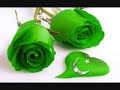 Naya Pakistan Nagma By Junaid Jamshaid