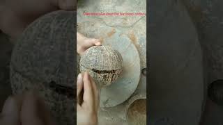 Download lagu Cara membuat celengan dari tempurung kelapa #menabung #celana pendek #ytshorts #viral mp3