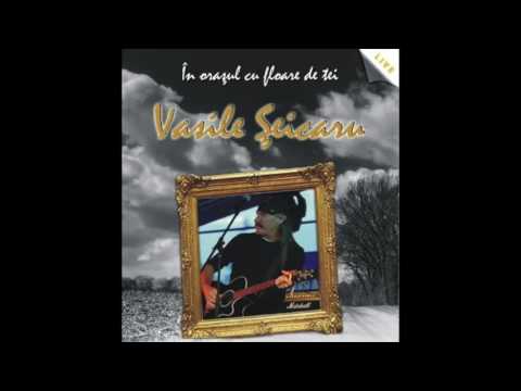 Vasile Şeicaru - În oraşul cu floare de tei