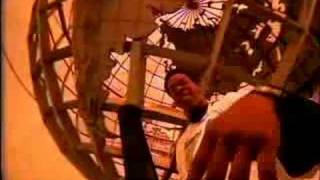 Flava in Ya Ear Music Video