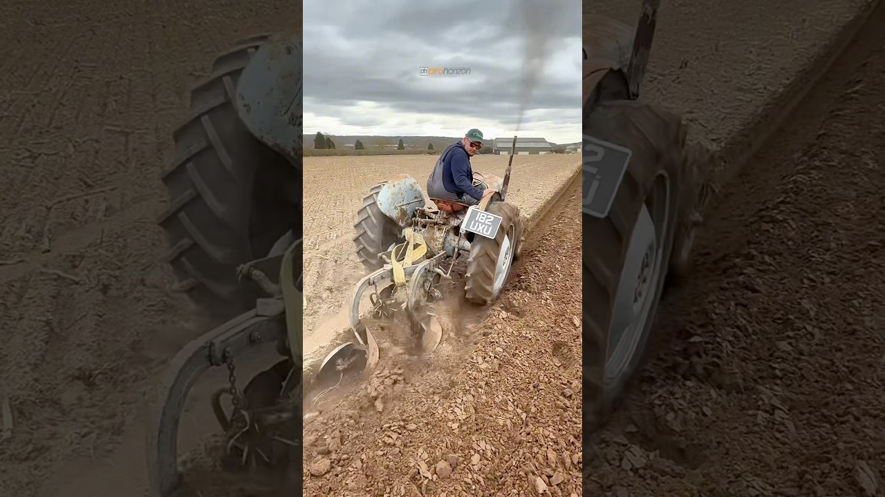 Grey Fergie 2 Furrow Plough