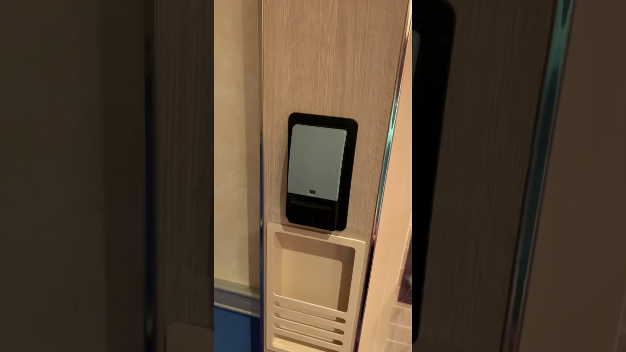Carnival Vista - Cabin 2485 - Video 1