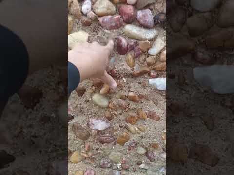 Situação atual da Barragem de Umari Upanema RN  #explore