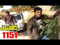 Episode 1151 Chakravakam Telugu Daily Serial Srikanth Entertainments Loud Speaker