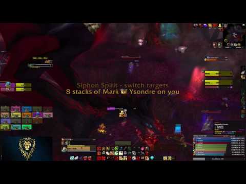 Dawning Nemesis (Stormrage US) - Team DN Normal Dragons of Nightmare - Ret Pally PoV