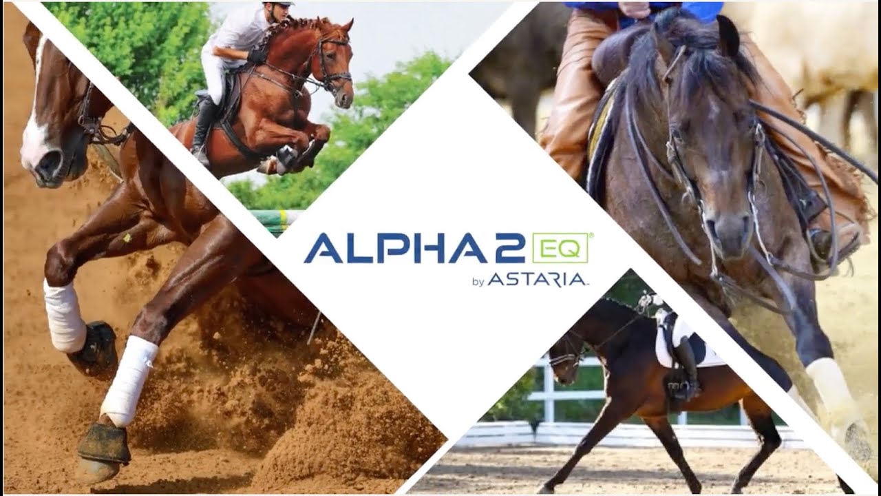 Alpha2EQ Introduction