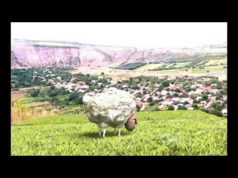 oiță bârsană (3Ds Max)