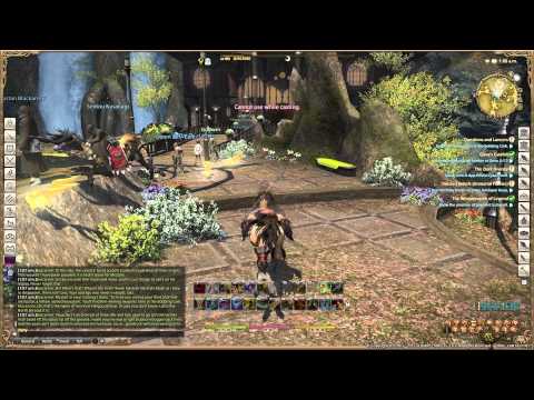 Final Fantasy XIV  A Realm Reborn - Lancer Lv25 Quest - Questions and Lancers