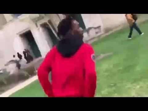 P block diss 🔥or 🤮