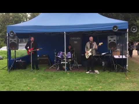 Chicory tip live 5 jez camber