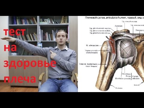 Что такое ркт грудного отдела позвоночника Лекарства для лечения позвоночника и суставов