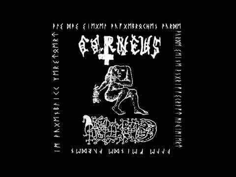 Corneus & Grollfried 2019 - Corneus - III song