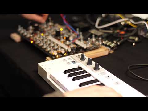 IMPLEXUS - FM & Delay