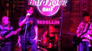 Another brick in the wall - Lila Oz