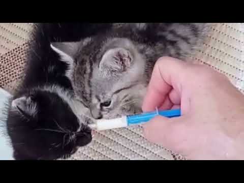 Jeden prostor navíc, stovky šancí na život