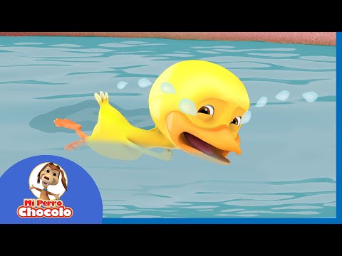 💧 ESTABA RENATO LLORANDO DEBAJO DEL AGUA | 🐶  MI PERRO CHOCOLO | CANCIONES INFANTILES TRADICIONALES♫