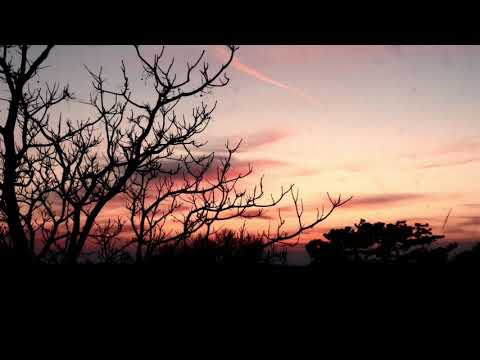 Video by Ivan Begonja from Pixabay Sunset   37865