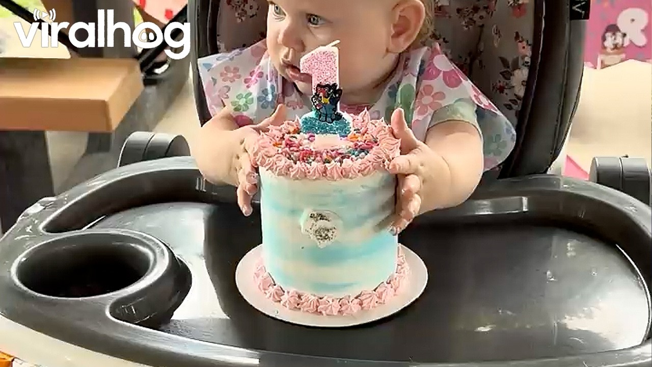 Baby Girl Destroys a Smash Cake || ViralHog
