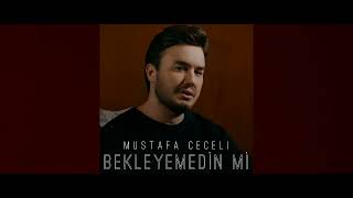 Mustafa Ceceli Bekleyemedin Mi