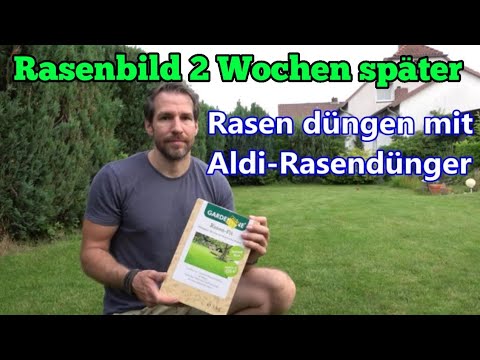 Rasen düngen mit Aldi Rasendünger So sieht mein Rasen 2 Wochen später aus