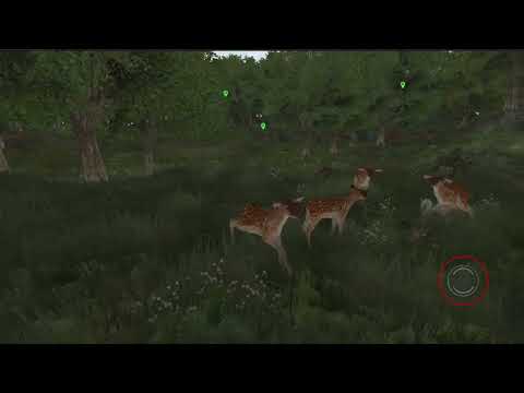 Life Of Deer Remastered Video