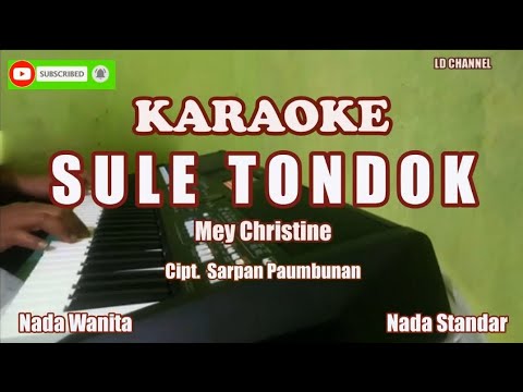 Mey Christine Sule Tondok - Karaoke HD