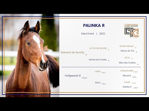 Nr 23, Palinka R (Diamant de Semilly x Uriko), klacz/mare, born/ur. 2022
