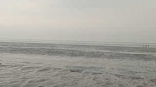 preview picture of video 'Chandipur, a Magical Beach'