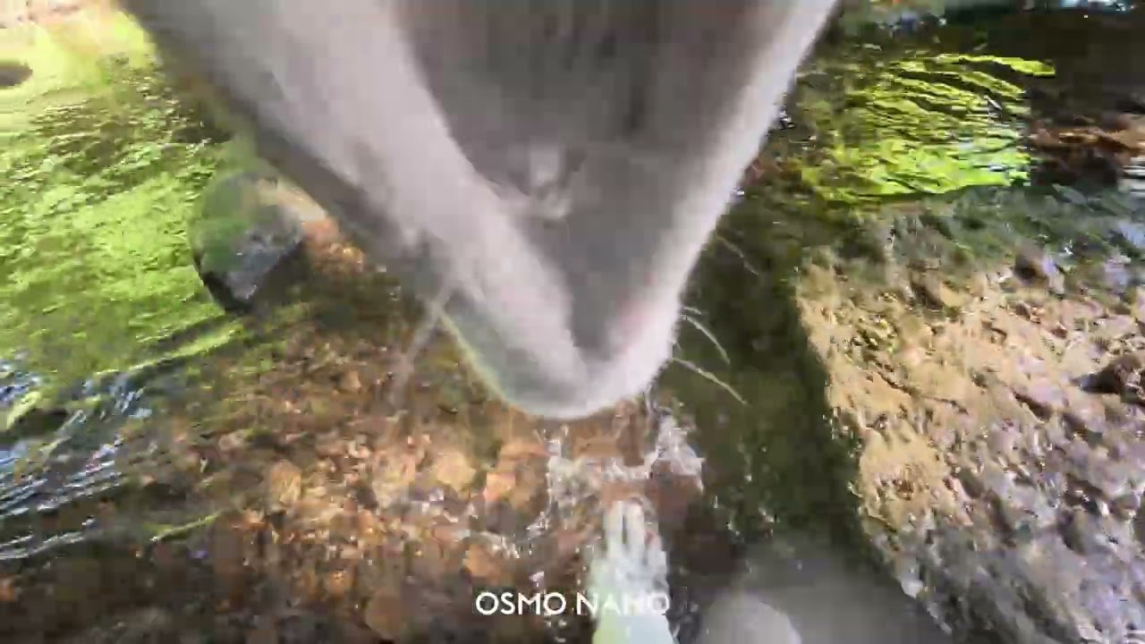 DJI Osmo Nano — 4K @ 60fps (Dog cam) - YouTube