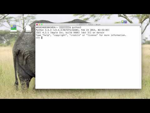 Python3 Importing The Random Module