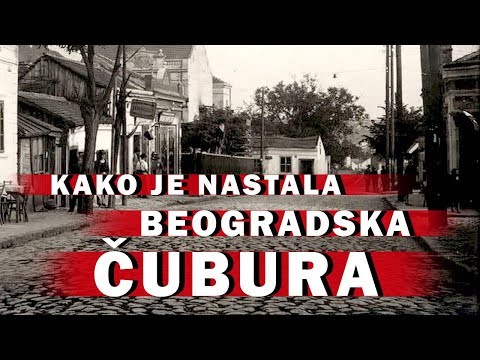 ČUBURA - KAKO JE NASTALA BEOGRADSKA ČUBURA i ŠTA ZNAČI IME