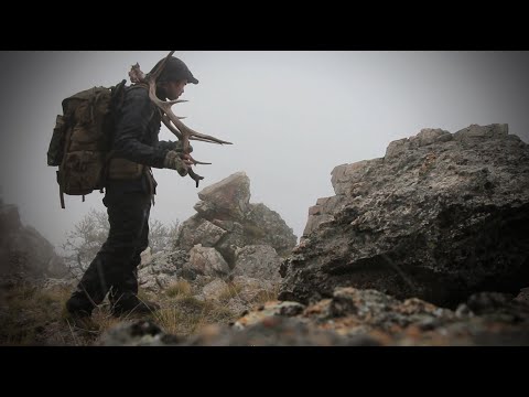 Hunting Elk in Nevada during the late season with Remi Warren
