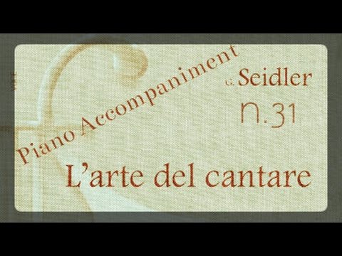 Seidler n.31 - Piano Accompaniment (Play - Along)