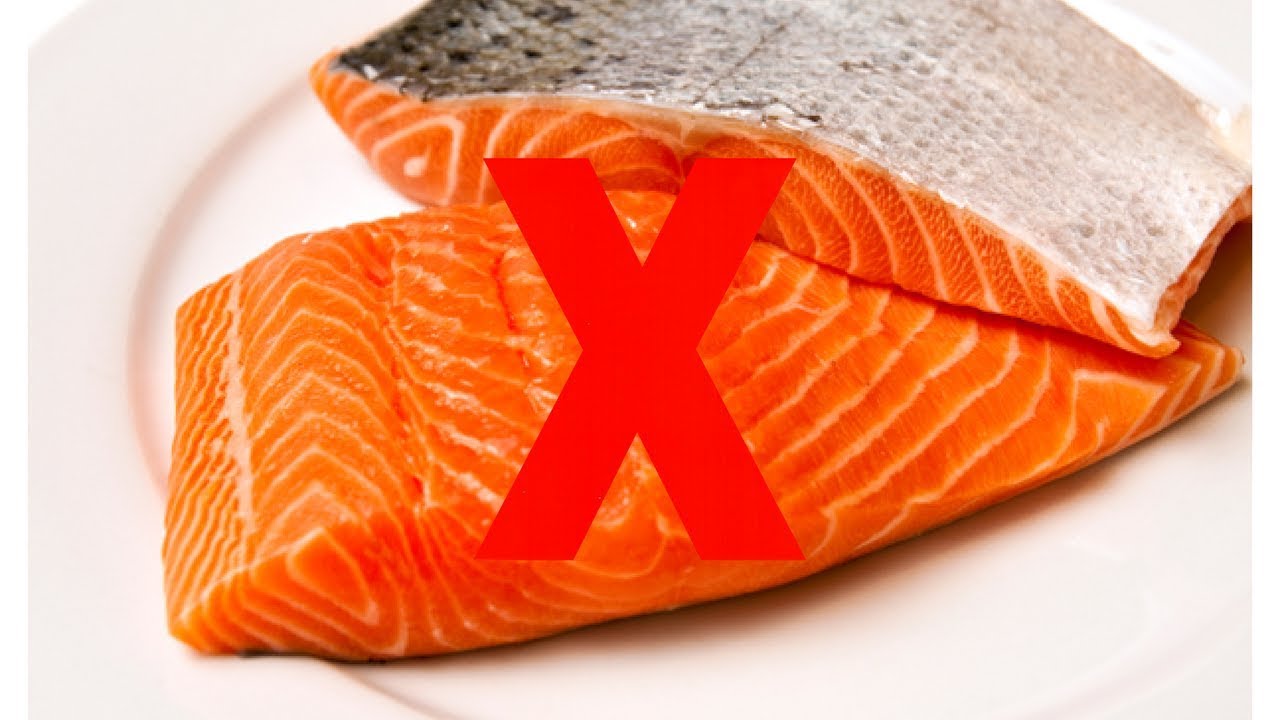 Watch Como saber si el Salmón esta Malo Now Como saber si el Salmón esta Malo