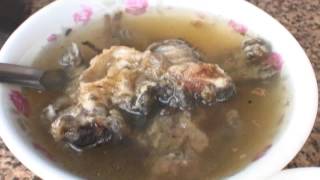 [問卦] 可以吃青蛙，不可以吃兔兔？