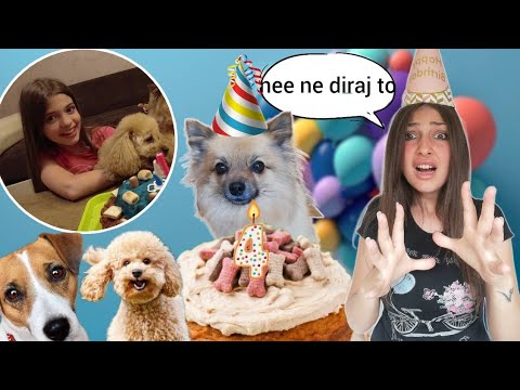 PROSLAVILI SMO MILIN ROĐENDAN * Švrća bio najgori gost* Pojeli tortu