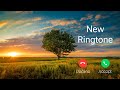 Anxmus Music Ringtone Ringtone Anxmus Music Trending Ringtone
