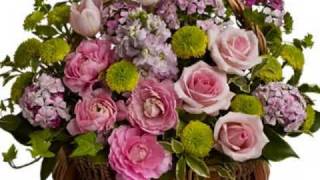 WESTLIFE, LIKE A ROSE