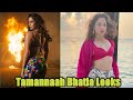 Tamile Telugu Superstar Tamannaah Bhatia Hottest Beautiful Looks Tamannaah Bhatia Hot Looks