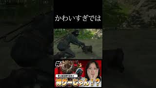 【アサシンクリードシャドウズ #1】これめちゃくちゃ面白いぞ…！！！初見実況プレイプレイ【待望の日本舞台】