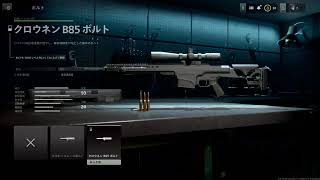 Coll of beauty modern warfare 2