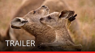 Trailer Preview Image