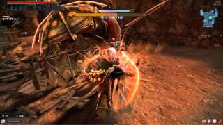 아인라허 노피격 금메달 - 마지막 조각