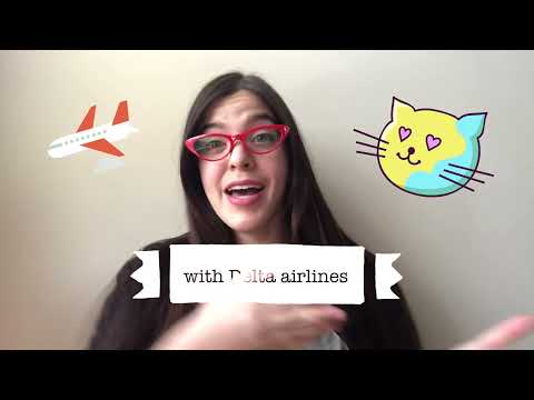 Traveling with a cat with DELTA airlines✈️ | During Covid times