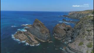 Stingray Naturescape 4K (June 22, 2025)